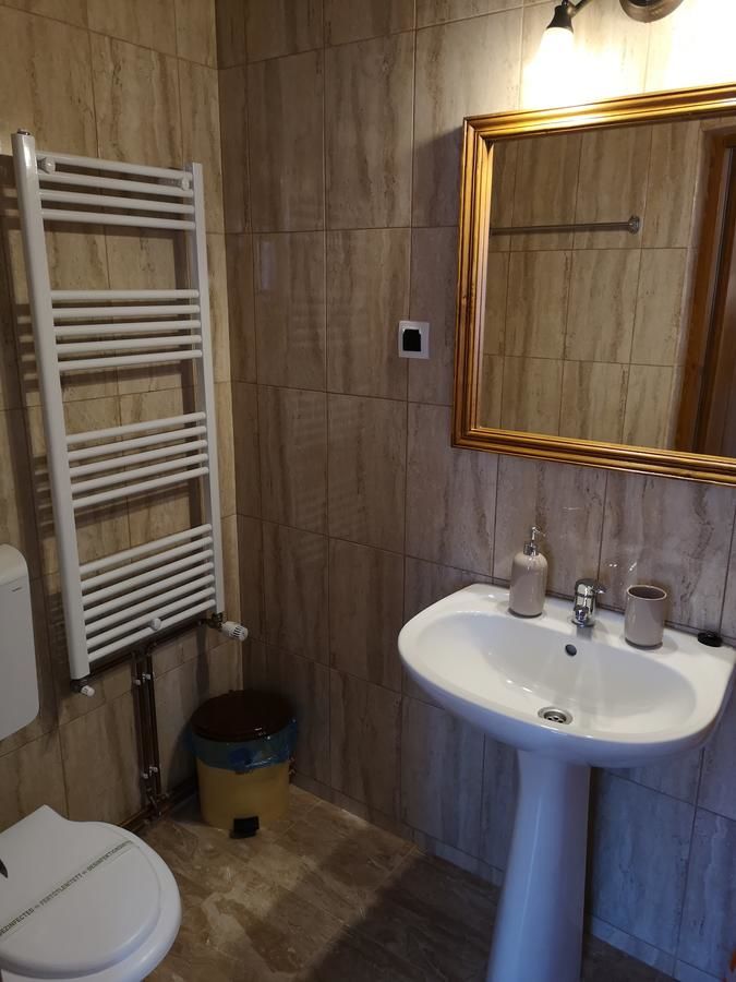 Гостевой дом Pensiunea Casa Sighisoreana Сигишоара-37