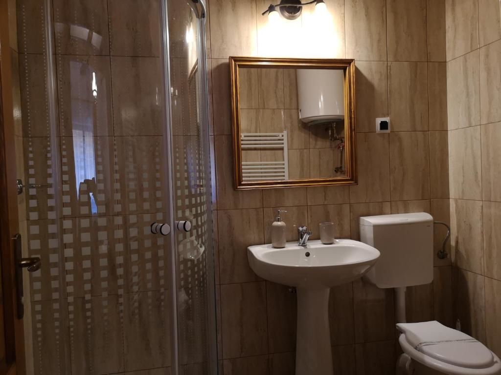 Гостевой дом Pensiunea Casa Sighisoreana Сигишоара-51